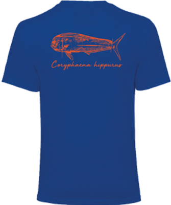 Coryphaena Hippurus - Mahi-mahi (400x400)