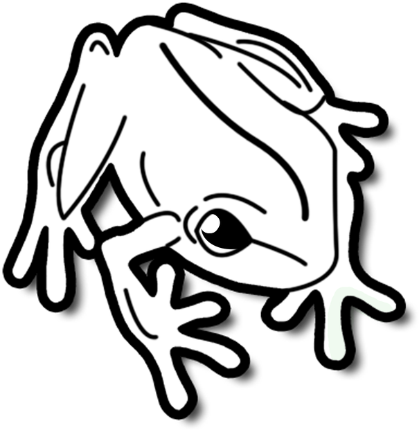 Frog Tropical Small - Frog Black And White Png (654x720)