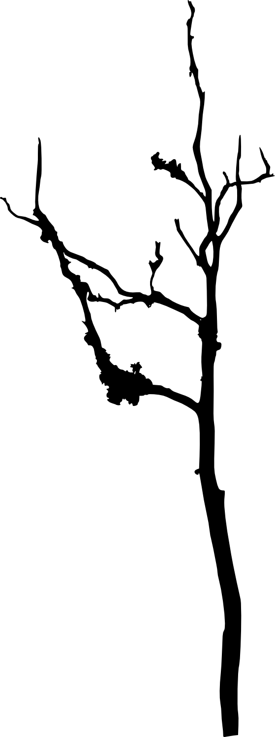 Free Download - Transparency (559x1496)