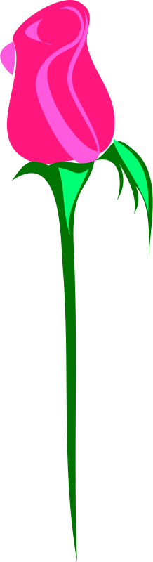 Rose Bud Clip Art (218x800)