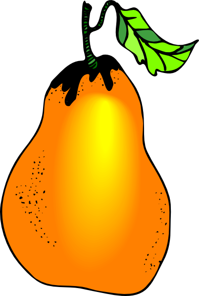 Custom Mango Shower Curtain (540x800)