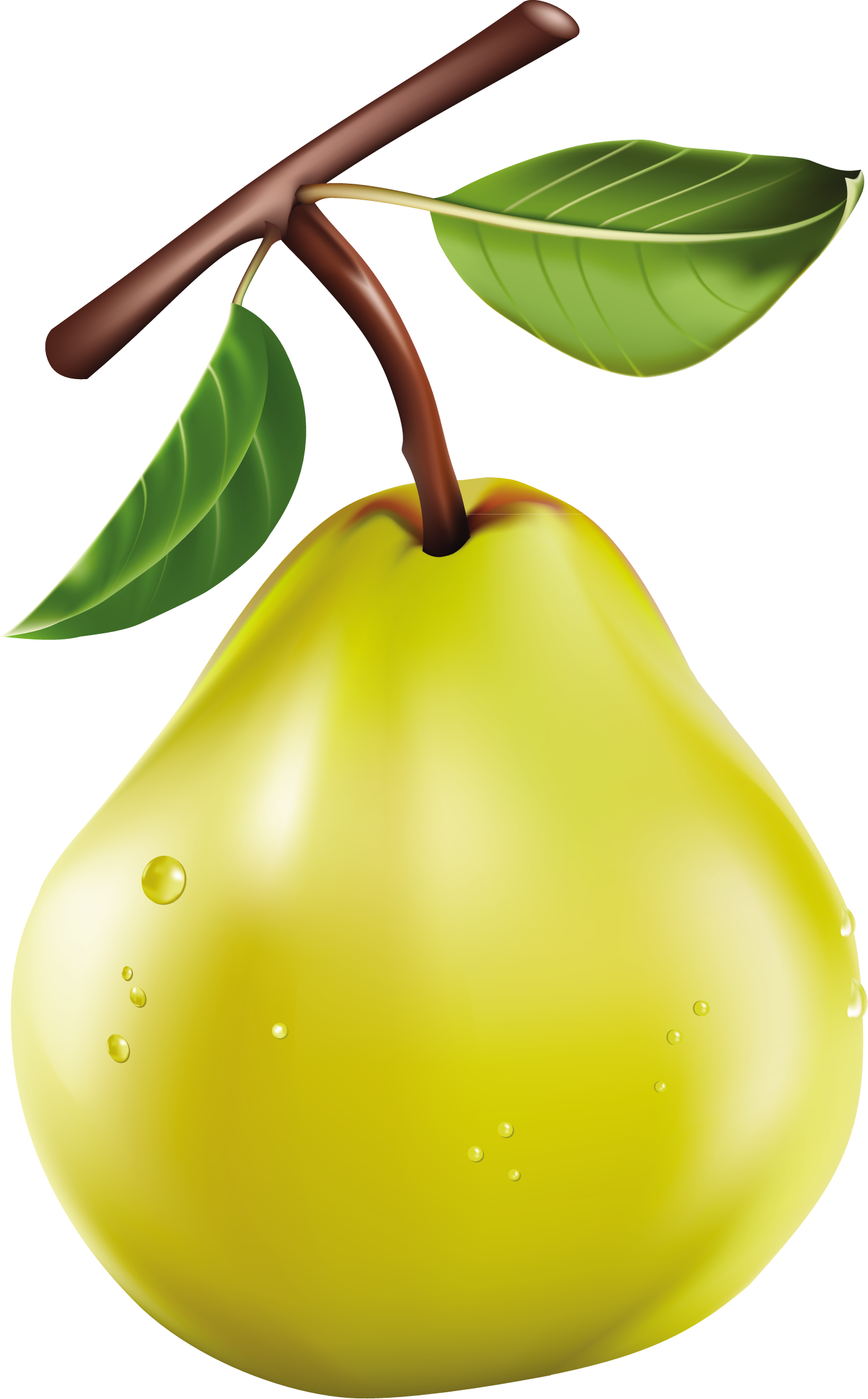 Vegetables, Clip Art, Dibujo, Fruit, Veggies, Illustrations - Fruit Clipart Png (1417x2284)