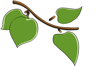 Clip Art (507x362)