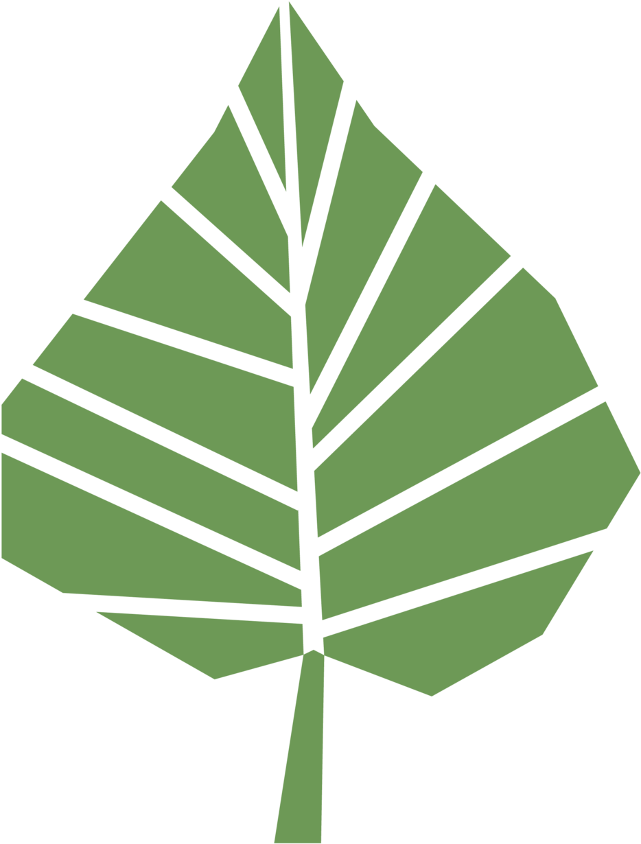 Aspen Tree Clip Art (1000x1289)