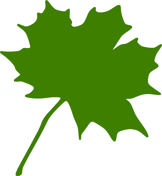 Green - Maple - Leaf - Clipart - Maple Leaf Clip Art (552x597)