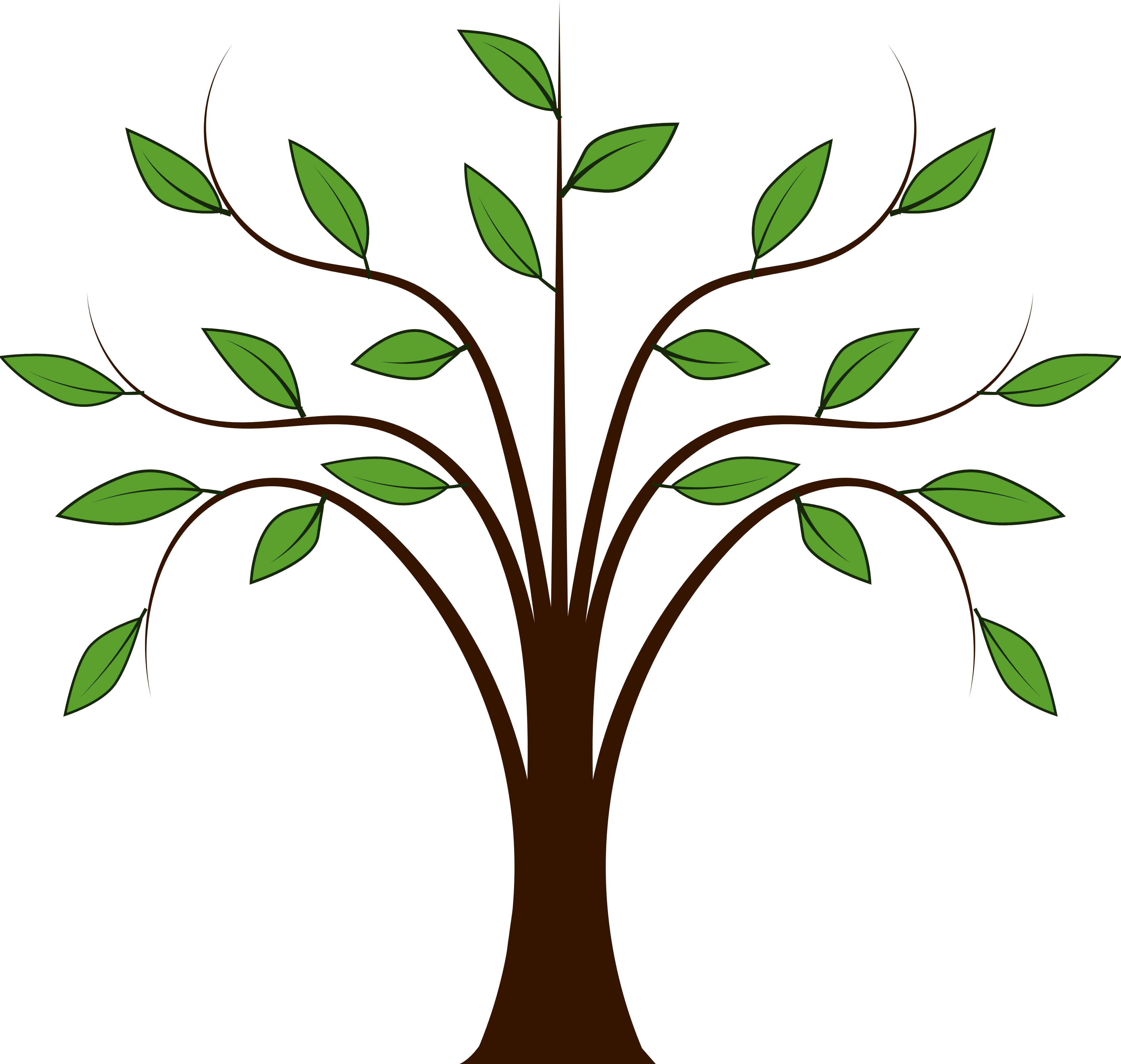 Microsoft - Free Clip Art Tree (4444x4216)