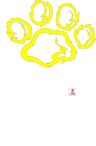 Wildcat (390x596)