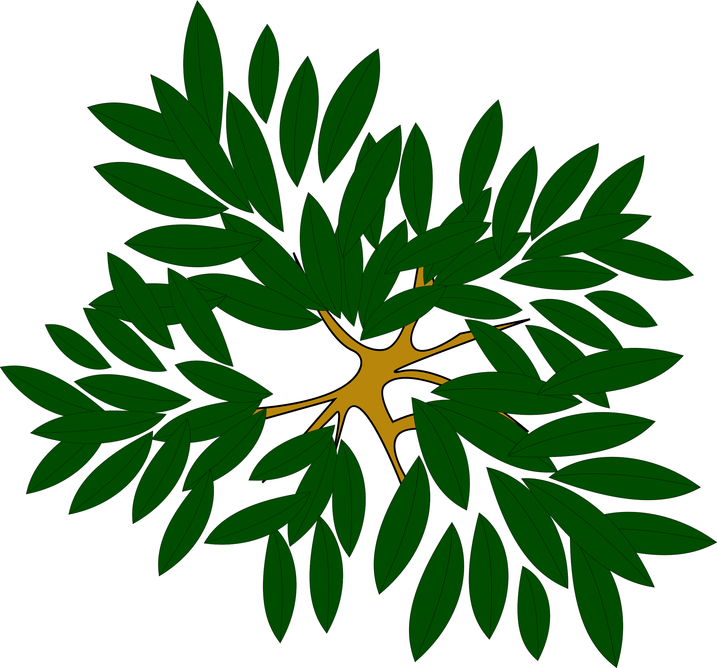 Tree-01 - Top View Tree Icon (2400x2235)
