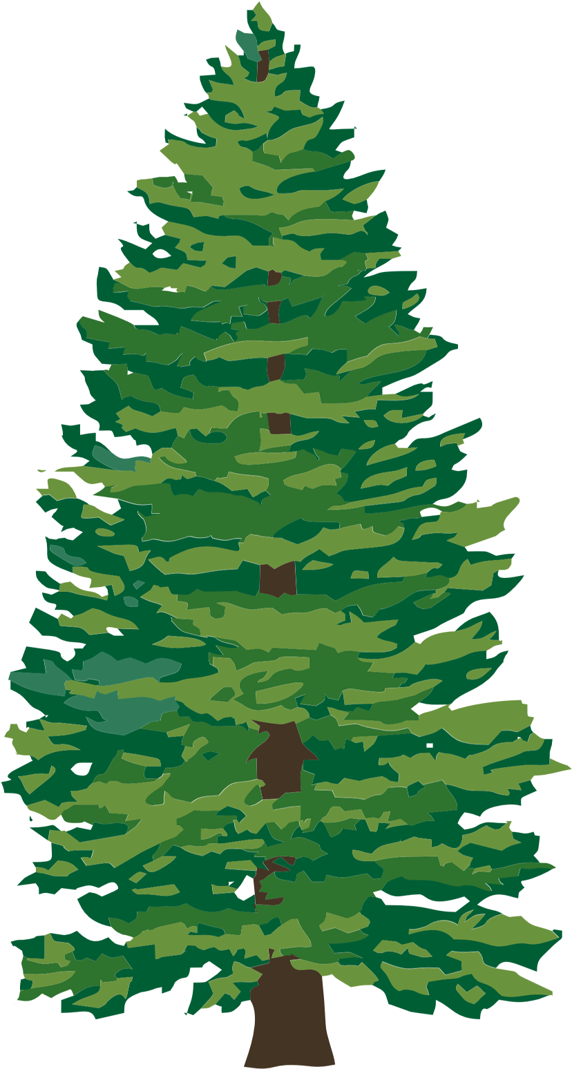 Icon - Pine (959x1629)