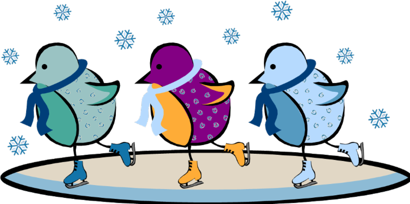 The Next Growing Tree Board Meeting Will Be Held Wednesday, - 00053465.png Shower Curtain (800x398)