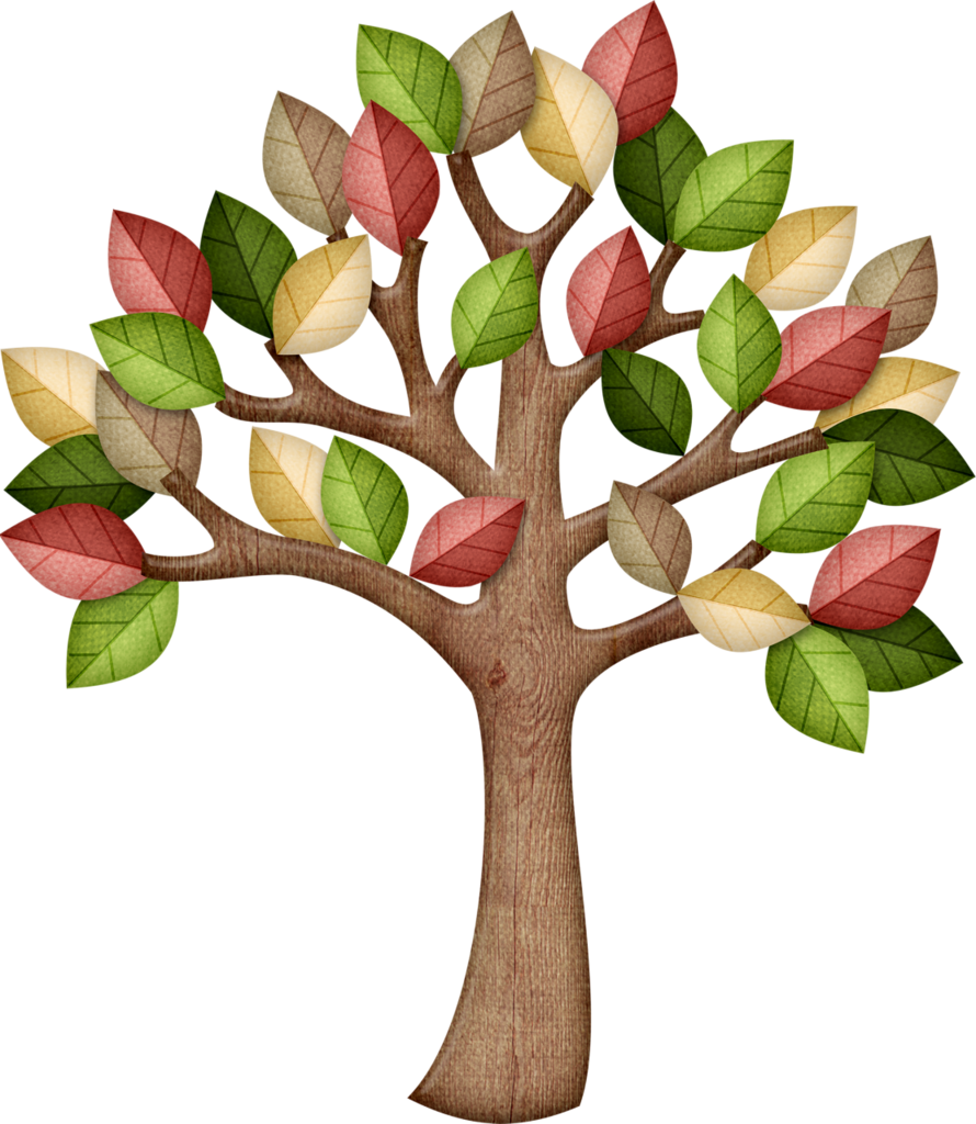 Album - Clip Art Tree Class (890x1024)