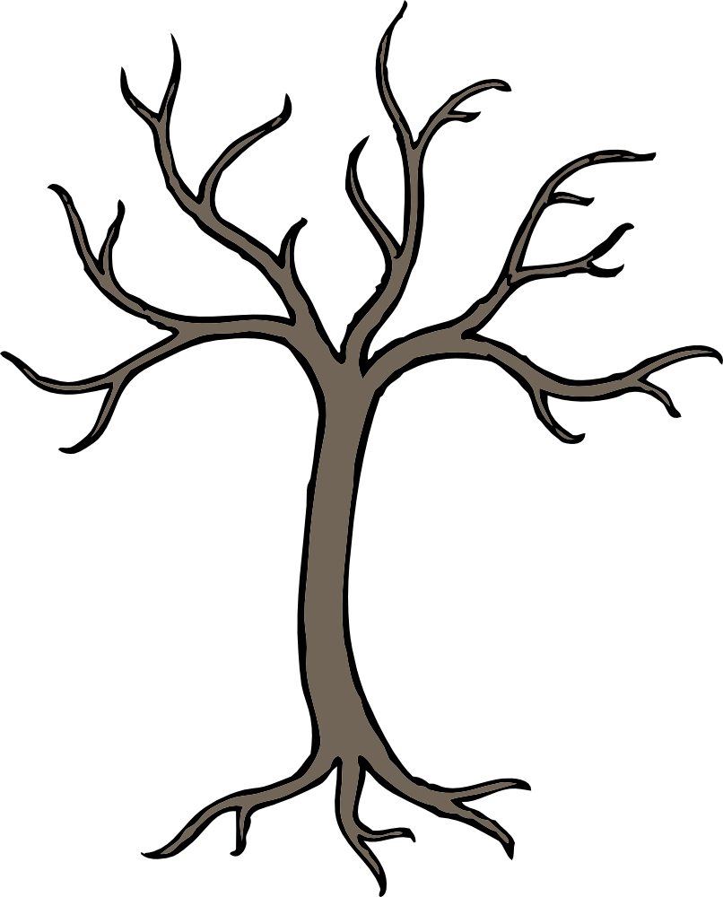 Barren Tree - Bare Tree Clip Art (806x1000)