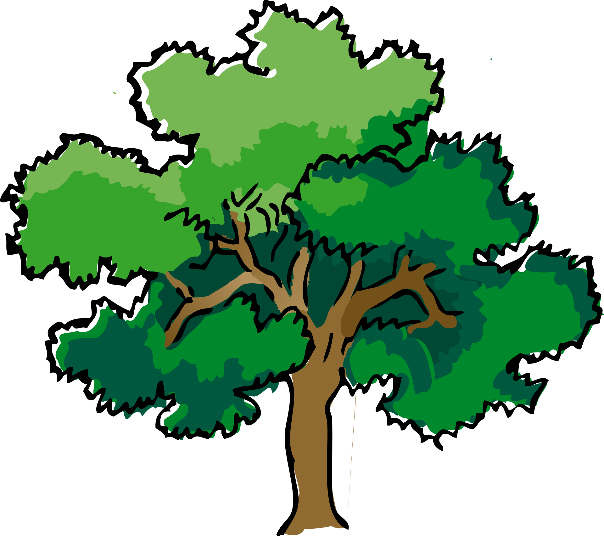 How To Draw Tree - Forest Trees Clipart (1920x1703)