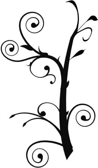 Tree Branch Clip Art (528x598)