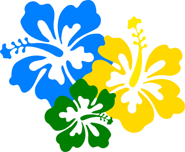 Hawaii Flower (600x492)