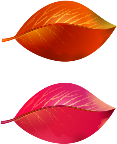 13 - 13 (417x500)