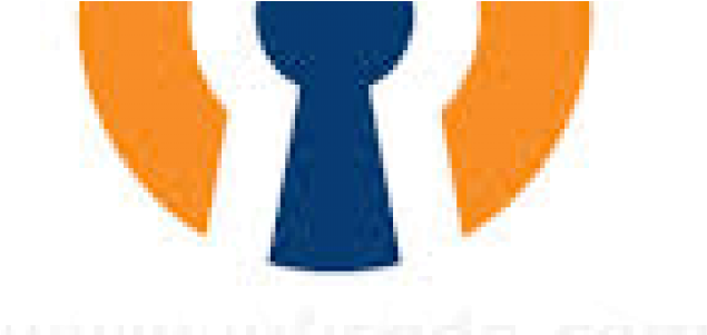 Logo-openvpn - Emblem (1100x300)