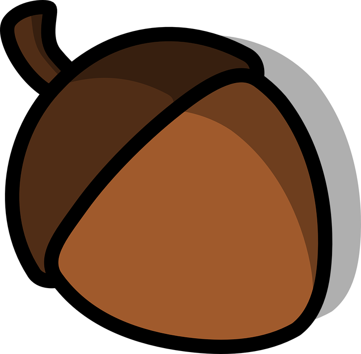 Squirrel Nuts Clip Art (734x720)
