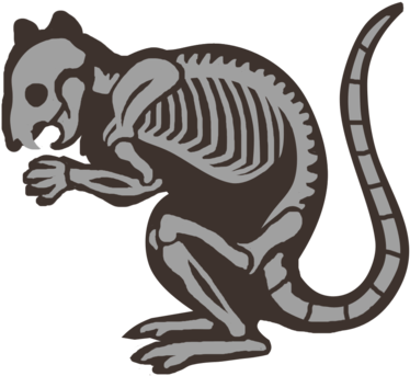 X-ray Rat Patch Design Wip By Goiku - Needlework (400x442)