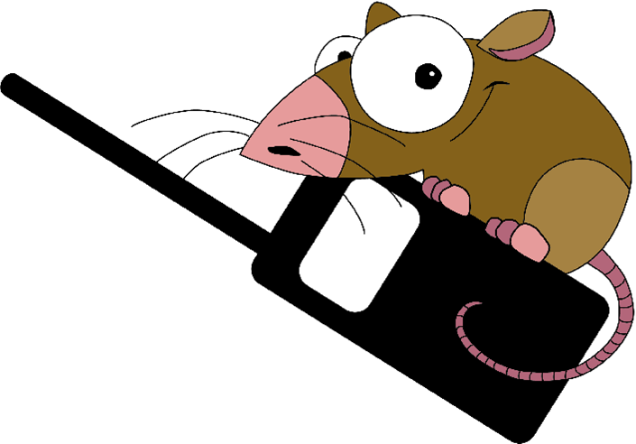Rats (705x492)
