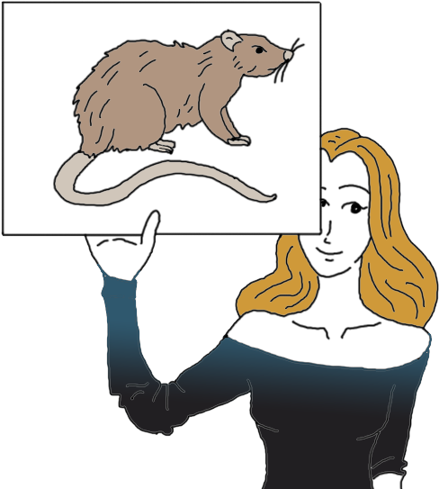 Shrew (600x600)
