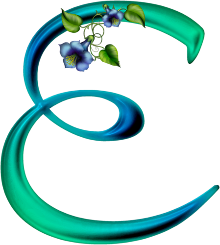 E - Portable Network Graphics (449x500)