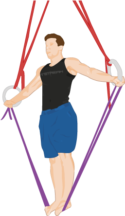 The - Gymnast (265x453)