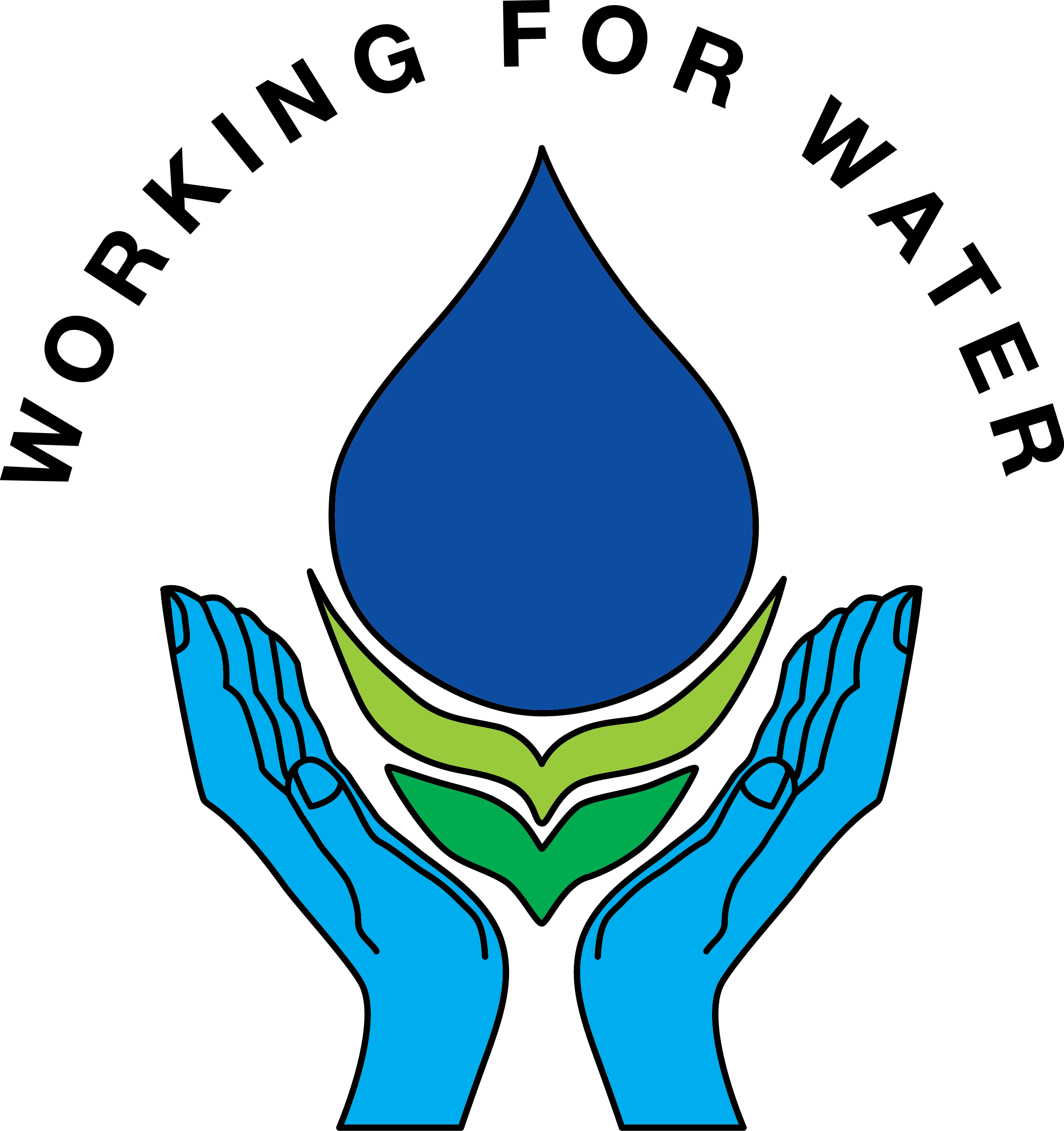 Develop Emission Reducing Biochar Kilns And Reduce - Working For Water Logo (2709x2880)