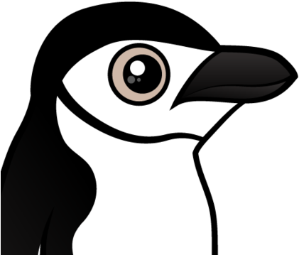 About The Chinstrap Penguin - Penguin (440x440)