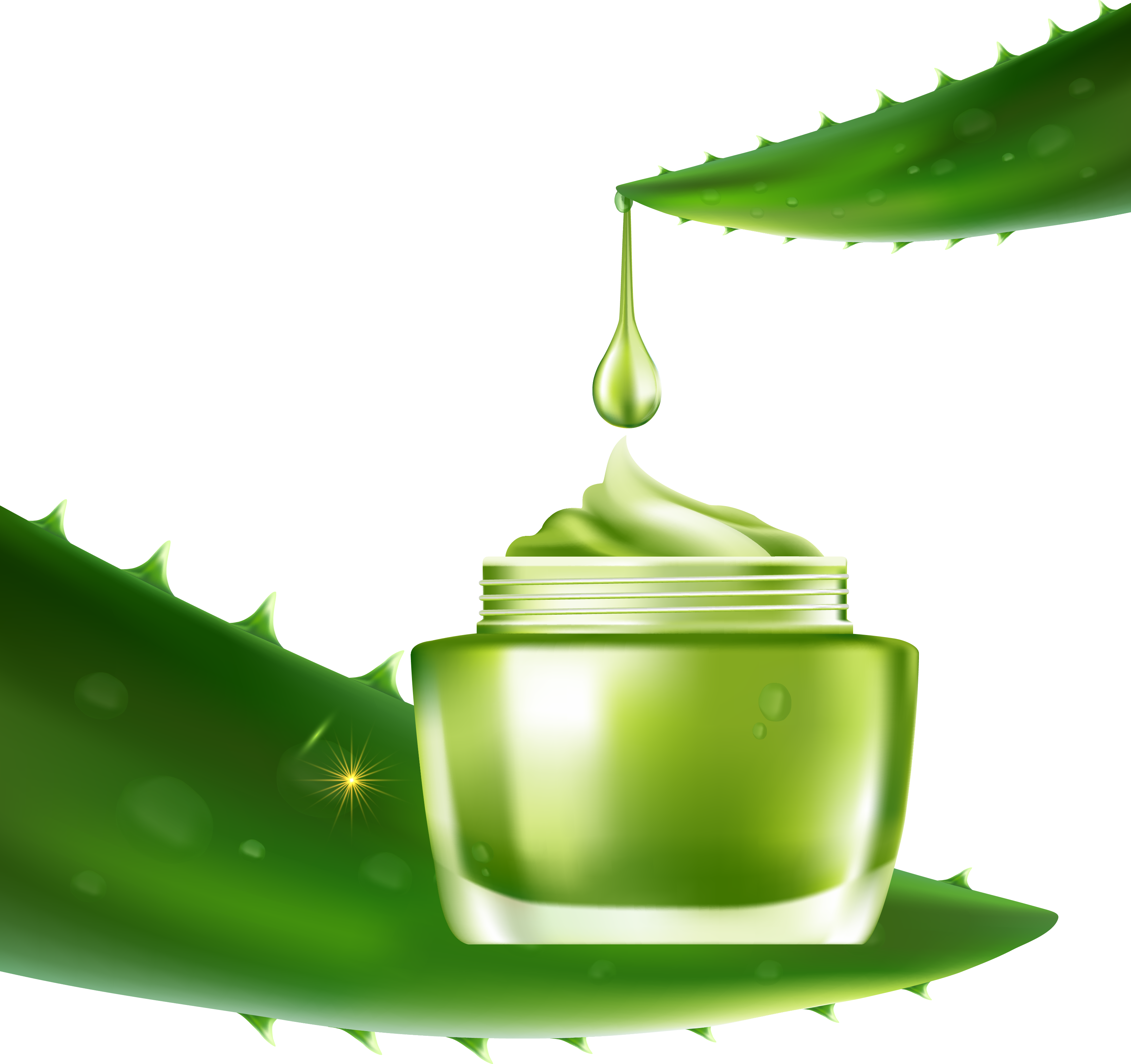 Aloe Vera Computer File - Aloes (3333x3135)