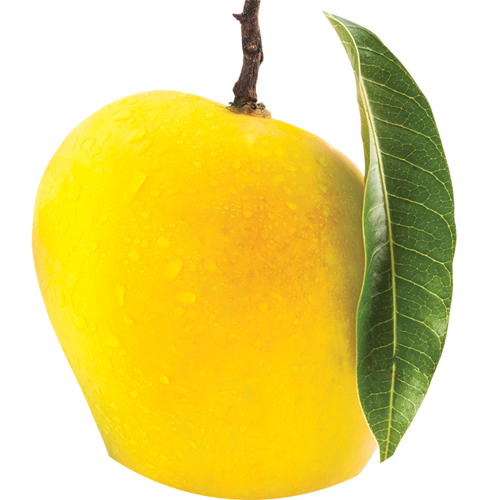 Mango - Mango (500x500)