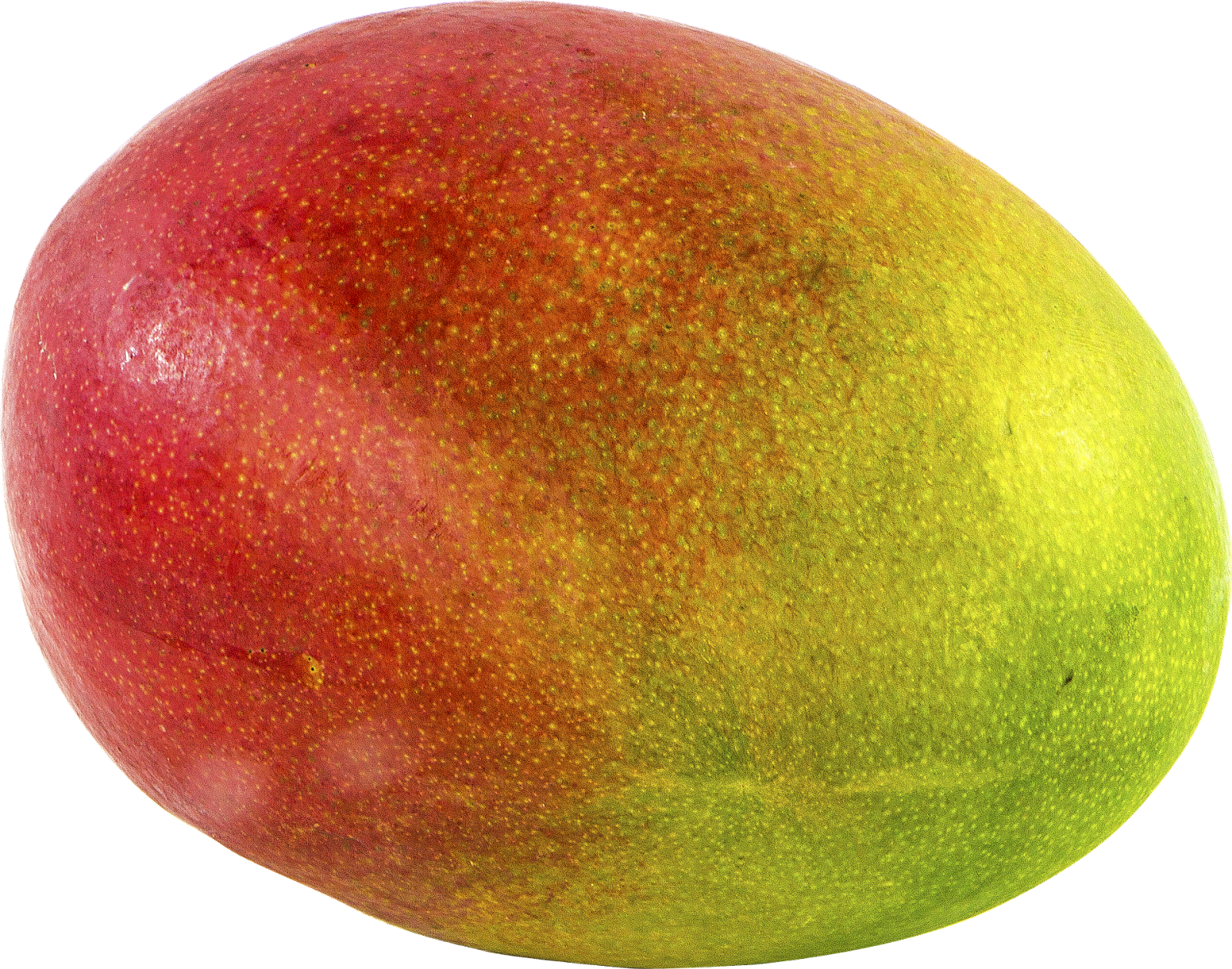 Download - Mango Transparent Background (1600x1259)