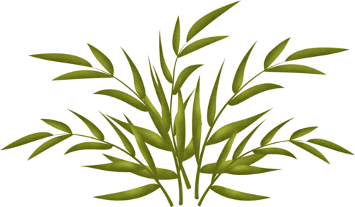 Plants - Plants (500x291)