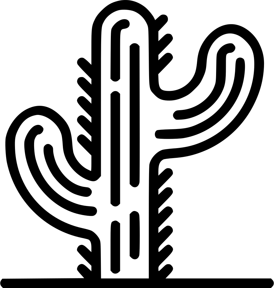 Cactus Comments - Cactus (932x980)