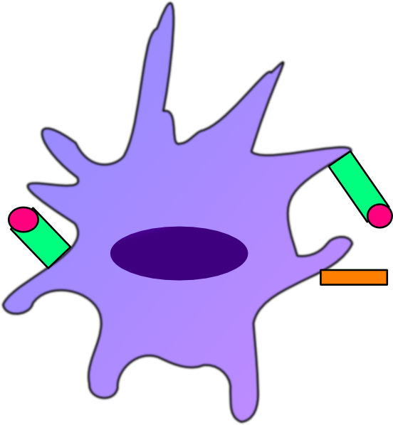 Antigen Clip Art (552x598)