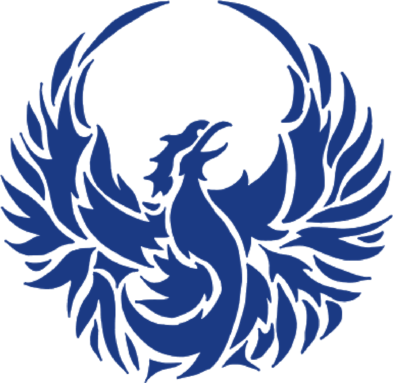 The - Roblox Phoenix Decal (1400x1400)