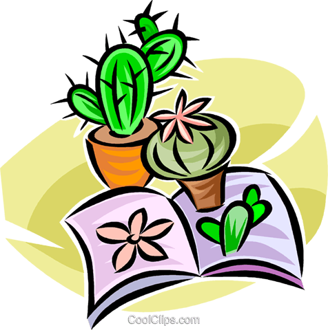 Cactus - Cactus (476x480)