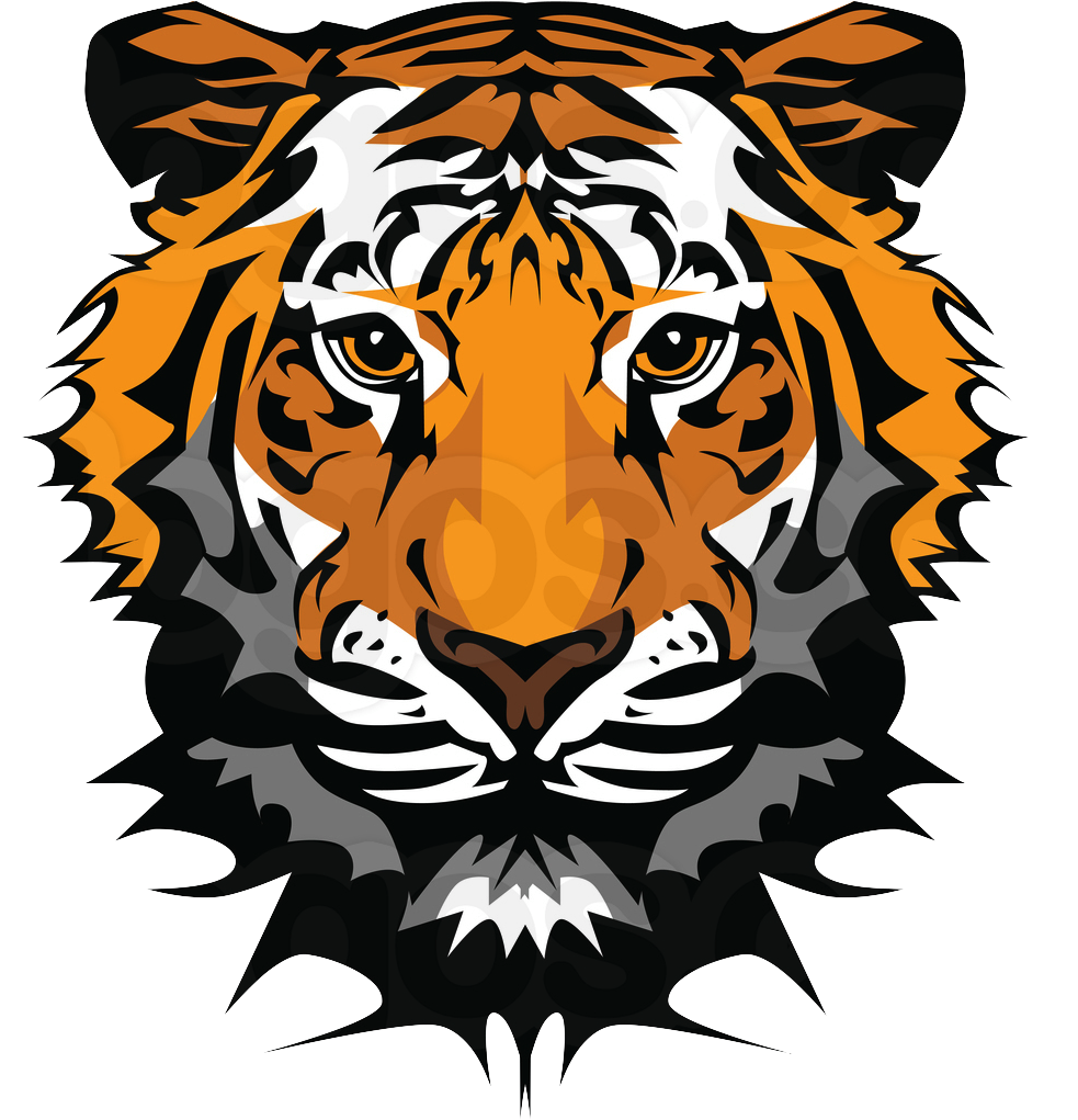 Free Tiger Vector (1024x1044)