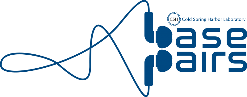 Base Pairs Banner - Base Pair (800x314)