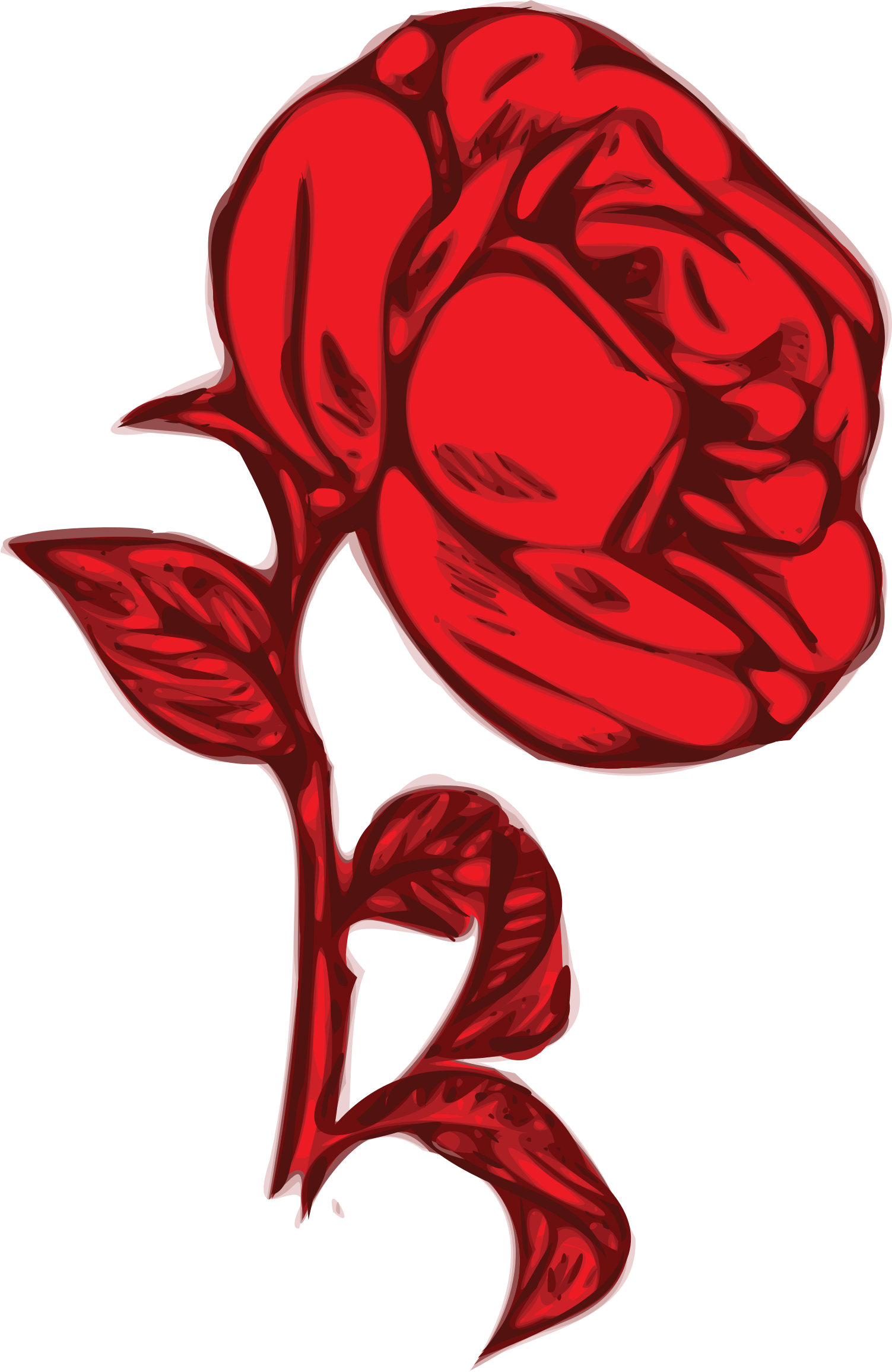 Big Image - Clip Art (1503x2311)