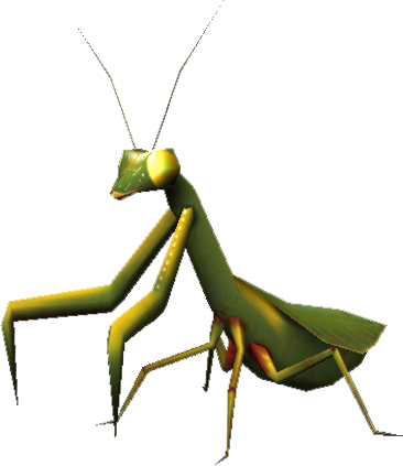 Copyright Michael Sandt - Mantidae (366x423)