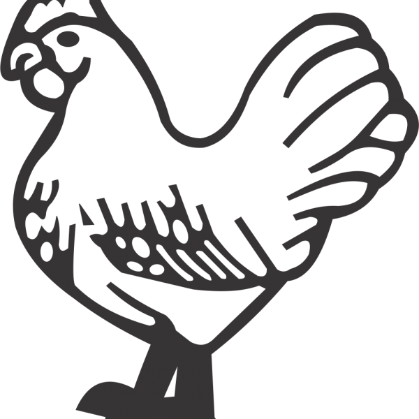 Chicken - Chicken (600x600)