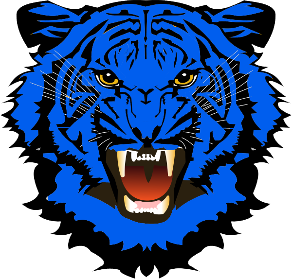 Tiger 5'x7'area Rug (600x574)