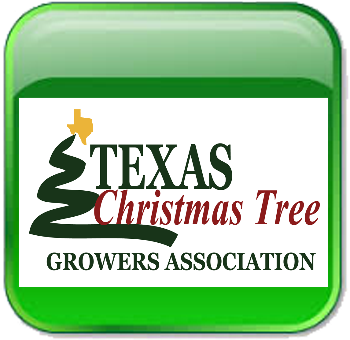 About Tctga - Christmas Tree (1248x1234)