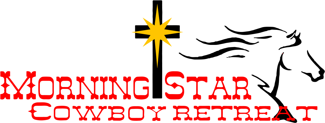 Morningstar, Inc. (1051x408)