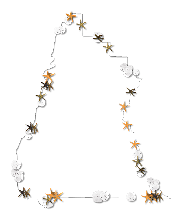 Pix For Starfish Vector Outline - Map (636x768)