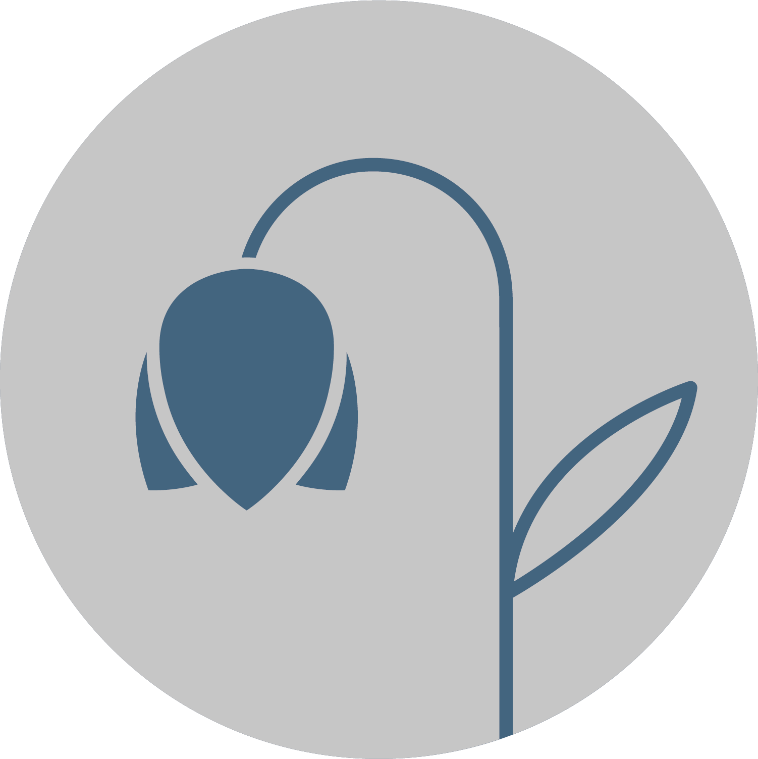 Snowdrops Pre-school Identity - Preschool (1502x1503)