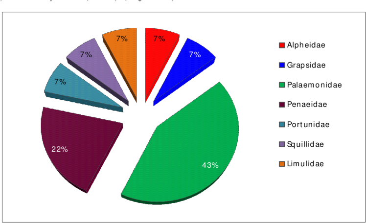 Download - Diagram (850x469)