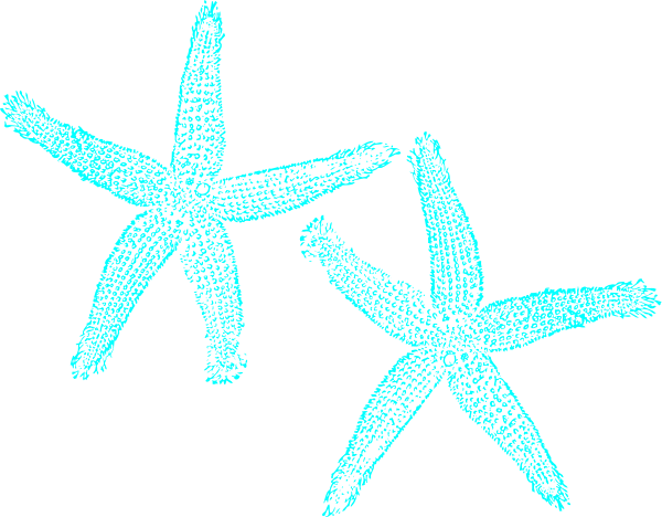 Starfish Clipart - Starfish (600x468)