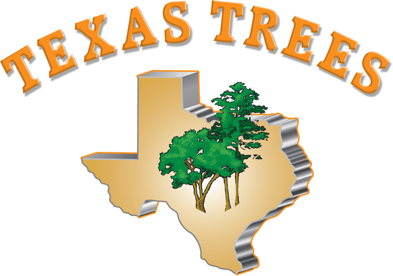Tree Service San Antonio, Tx - Texas (800x562)
